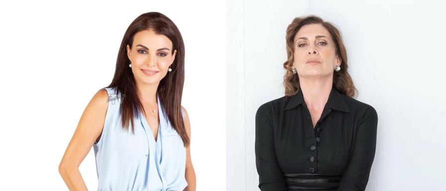 4308283213958694 Untitled