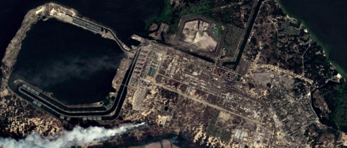 4309535705953521 cats