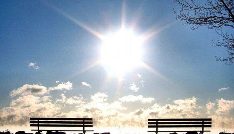 4309878761383561 image