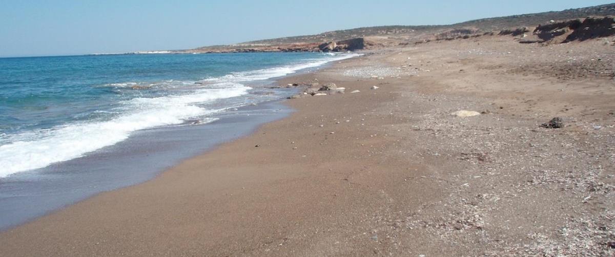 4310002539237079 lara beach1