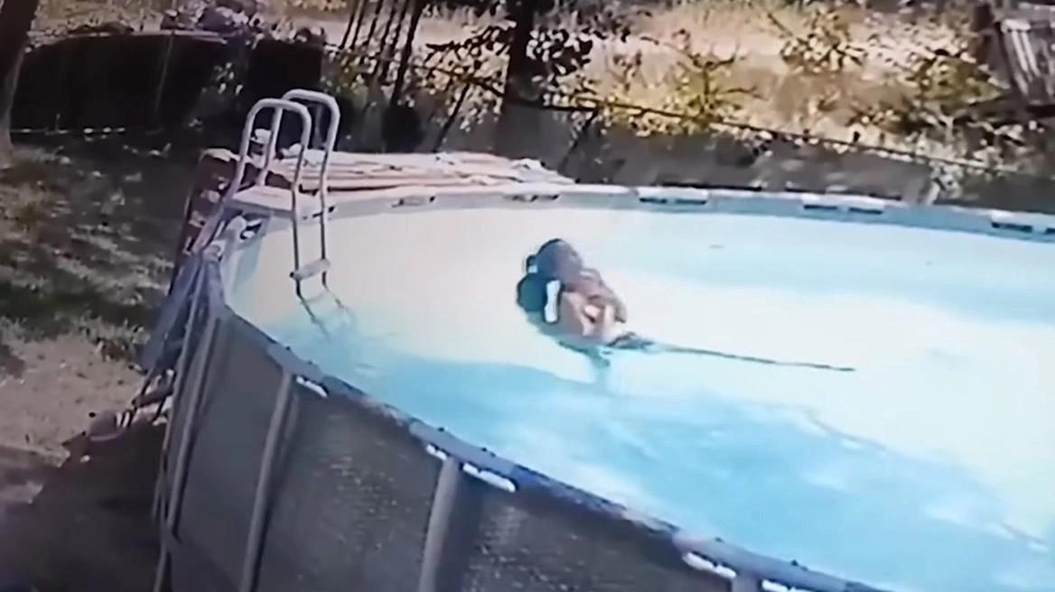 4310082423533949 image