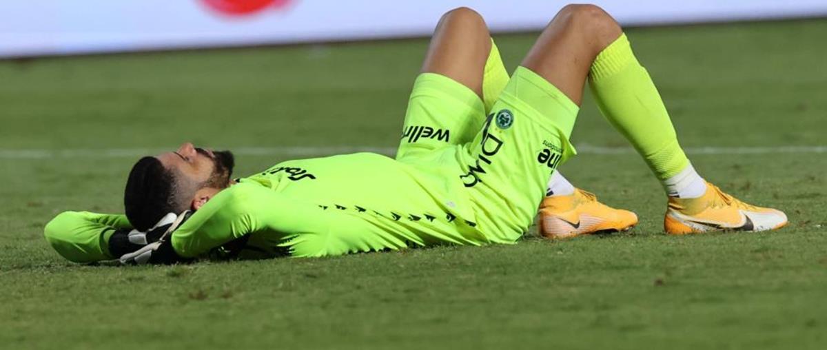 4310152125584631 560