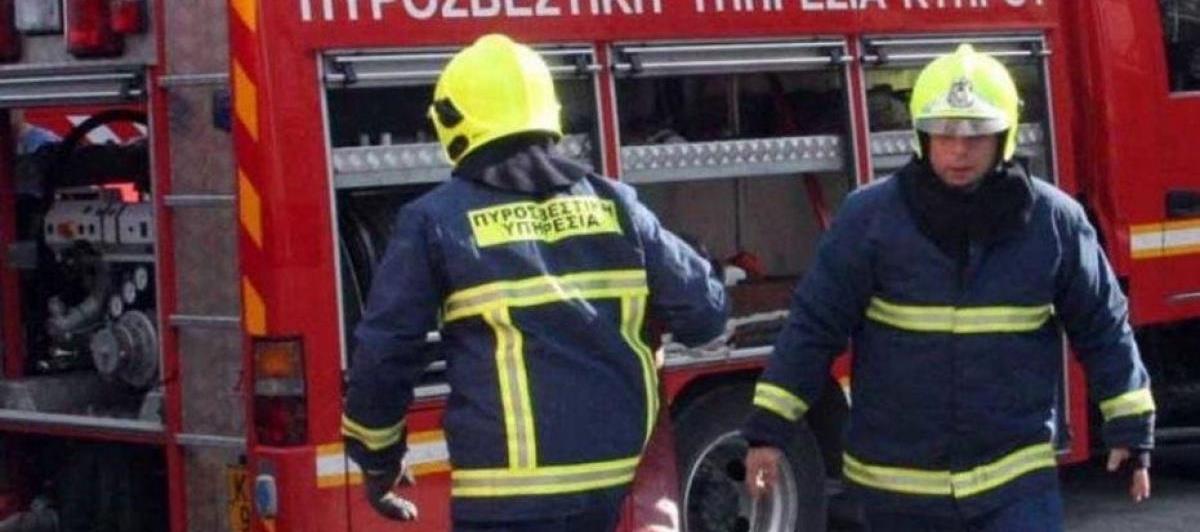 4311057928643037 cache 1500x3000 analog medium 1363878 95420 28122021