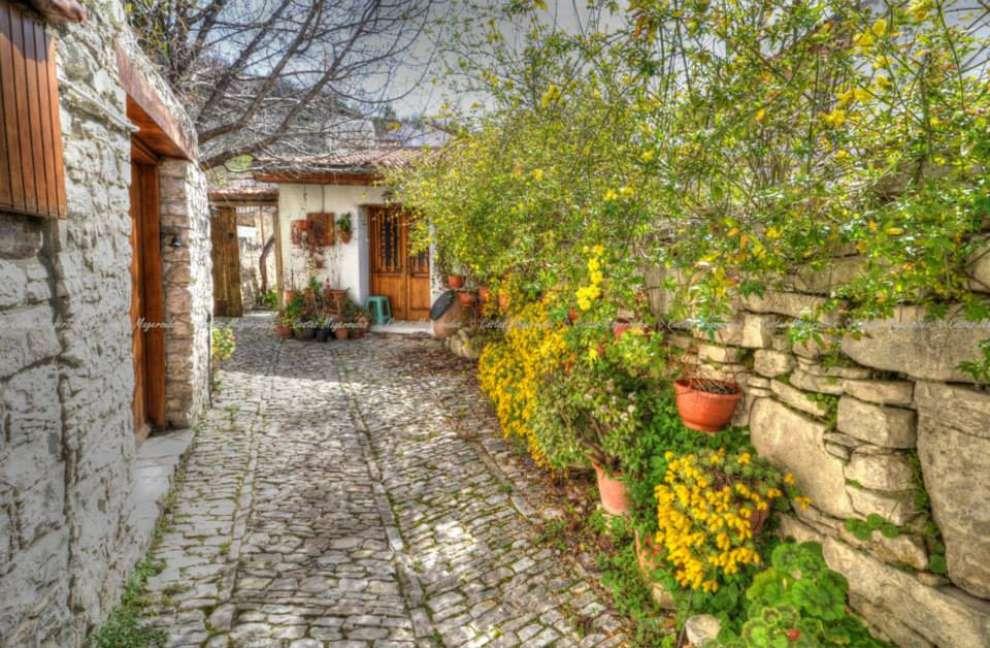 4311936852619335 image