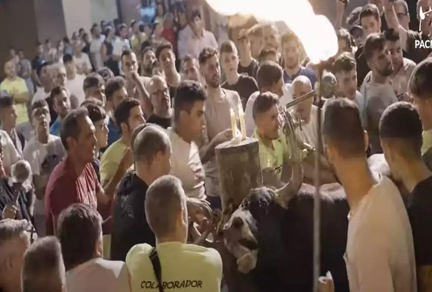 4312122724871493 image