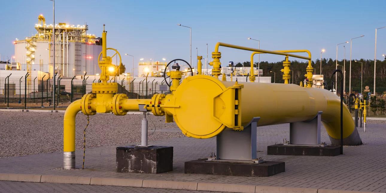 4314722658126338 image