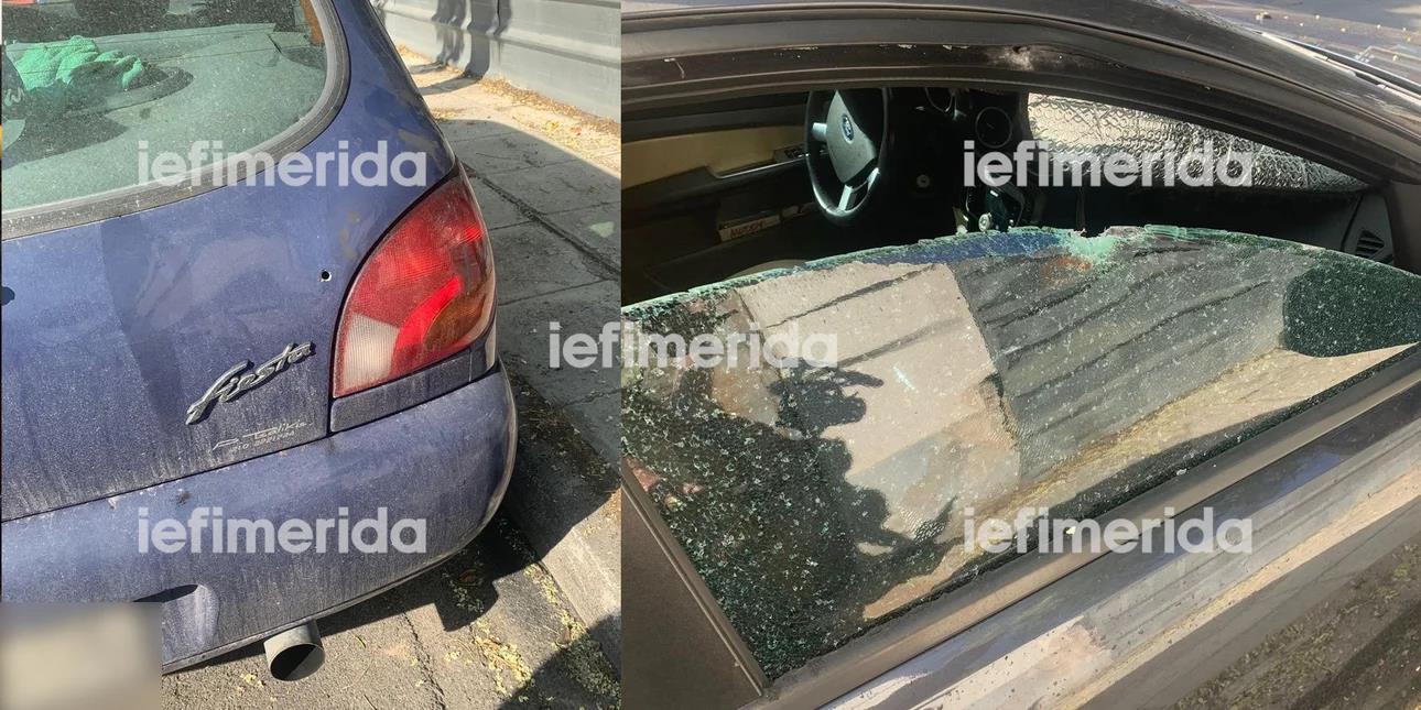 4315213649961348 image