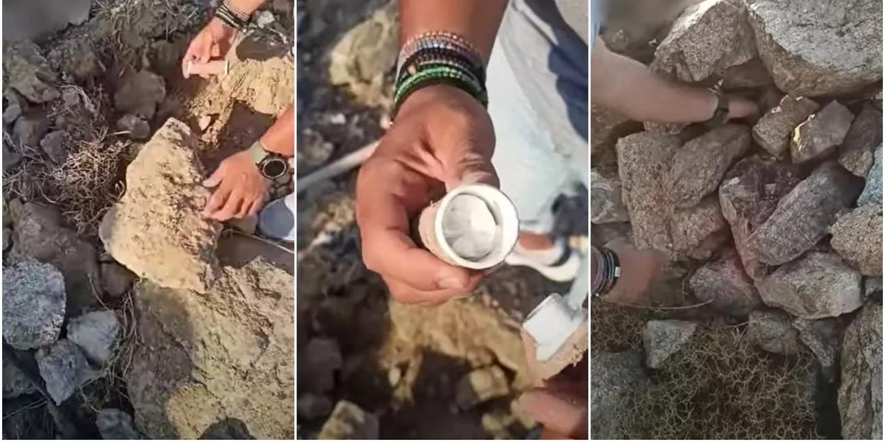 4315244448334492 image