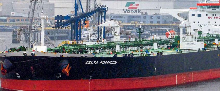 4315331843162237 image