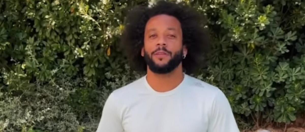 4315353892387551 marcelo3