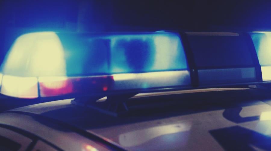 4316483851193211 image