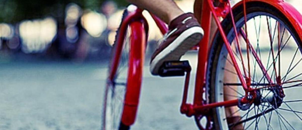 4316933115250093 podilato