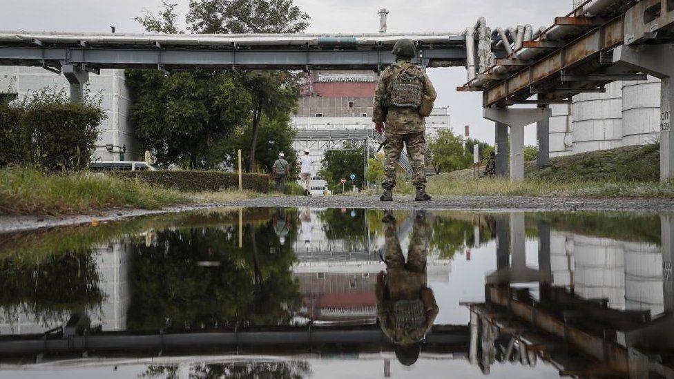 4318105174244646 image