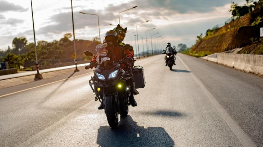 4318913833604300 cache 846x3000 Analog medium 876796 194817 25102021