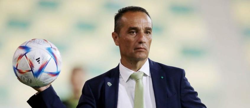 4318941420308261 image