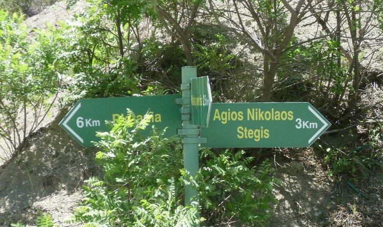πλατάνια