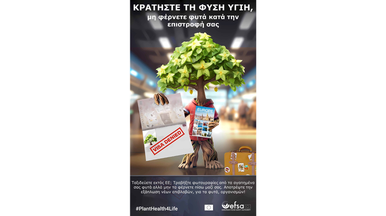 thumbnail_portal