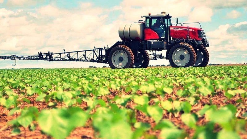 agrotes