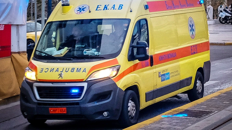 31229_.jpg