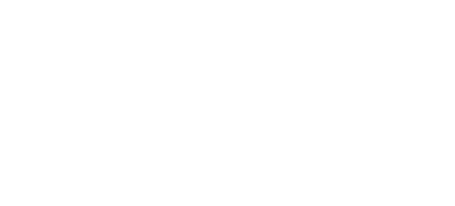 inBuissines Logo