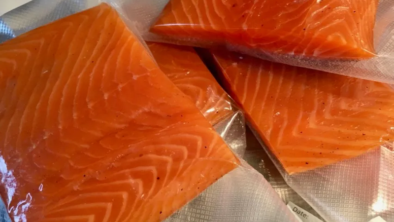 salmon