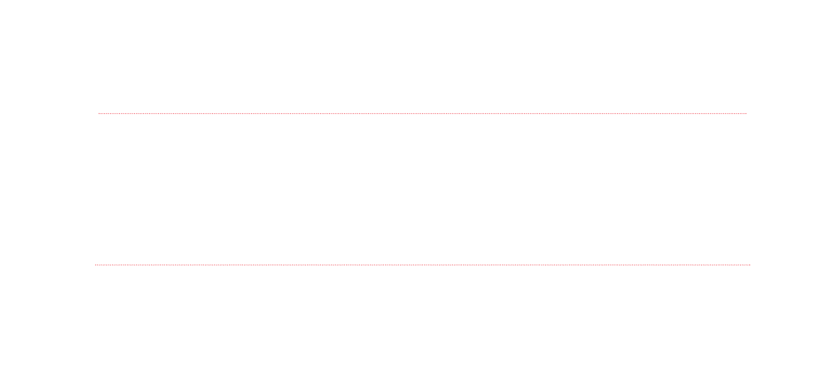 Reporter Logo light