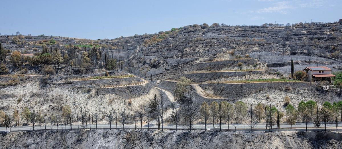Εγκρίθηκε σχέδιο €15,5 εκατομμύρια για ζημιές στη γεωργία από την πυρκαγιά-Ποιες κοινότητες αφορά