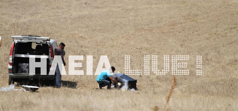 hleia