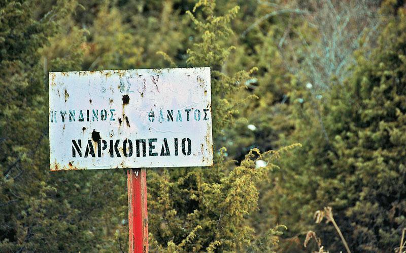ναρκεσ