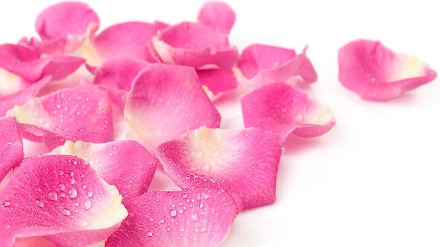 pink petals