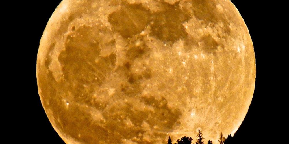 Supermoon rising