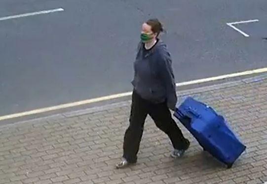 4349925310126647 image
