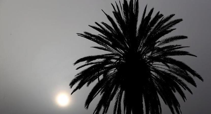 α