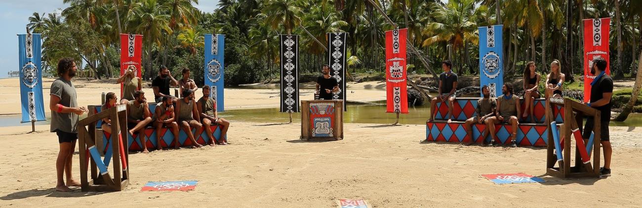 Survivor gr