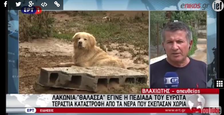 χατσικο