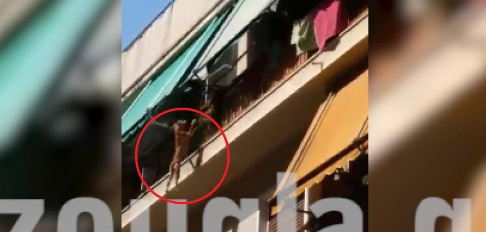 σκύλος μπαλκόνι