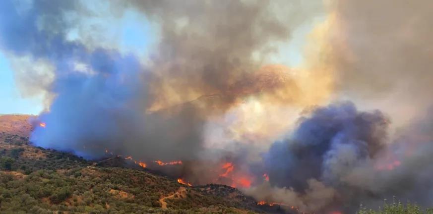 Προφυλακιστέος ο 48χρονος δημοτικός υπάλληλος που φέρεται να έβαζε φωτιές στην Ελλάδα-«Λάθος άνθρωπο πιάσατε» Προφυλακιστέος ο 48χρονος δημοτικός υπάλληλος που φέρεται να έβαζε φωτιές στην Ελλάδα-«Λάθος άνθρωπο πιάσατε»