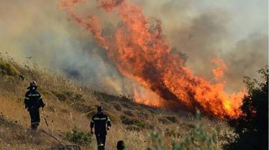 Εικόνα αρχείου