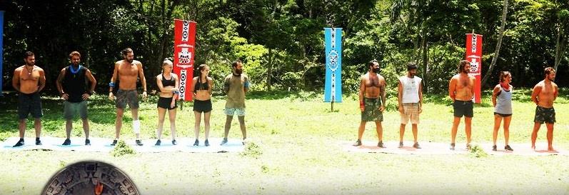 Survivor gr
