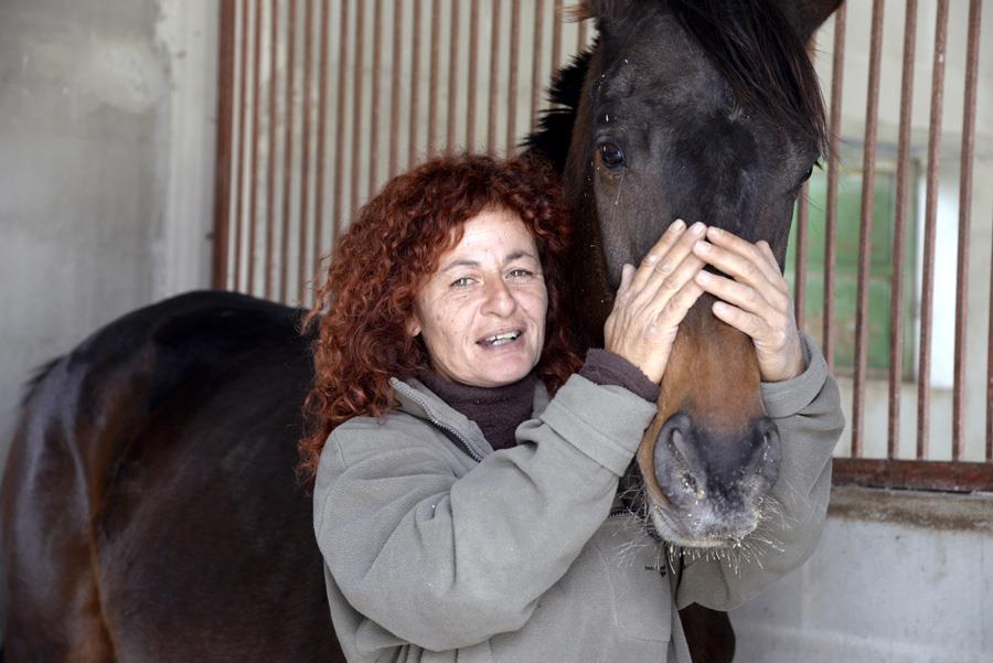 horse out