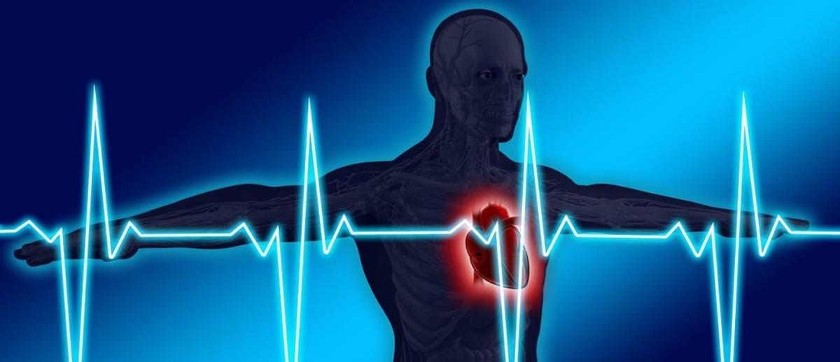4323786682953340 anatomy-g89fa60eec 1280-1024x576