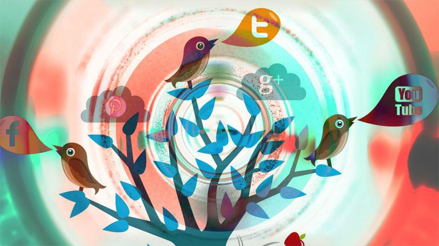 media-social