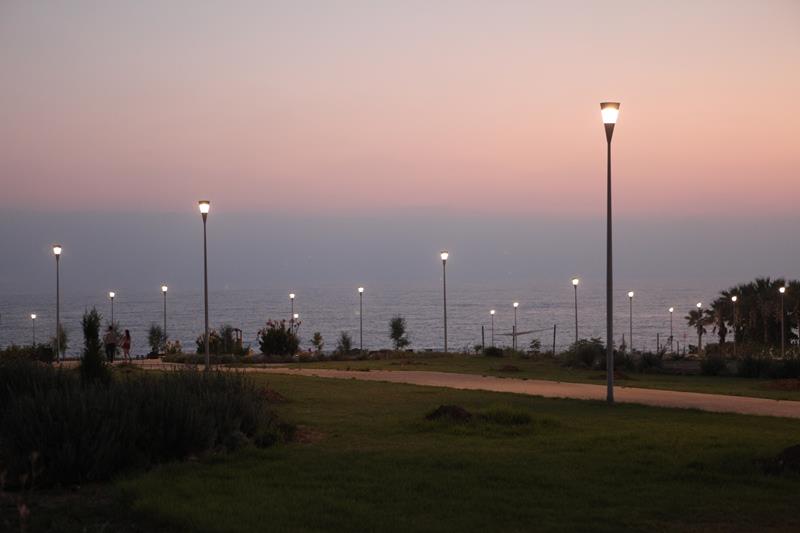 Χλώρακα