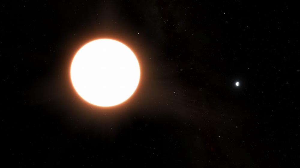 2541564