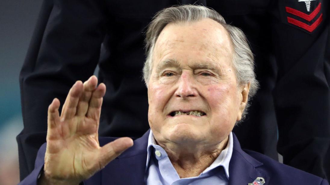 bush