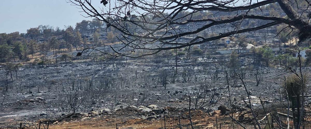 Προσπαθούν να ορθοποδήσουν οι πυρόπληκτες περιοχές-Παραμένει σε δεινή κατάσταση το Σουνί-Ζανατζιά Προσπαθούν να ορθοποδήσουν οι πυρόπληκτες περιοχές-Παραμένει σε δεινή κατάσταση το Σουνί-Ζανατζιά