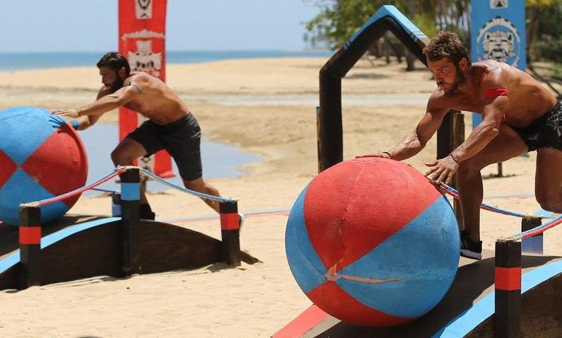 survivor gr