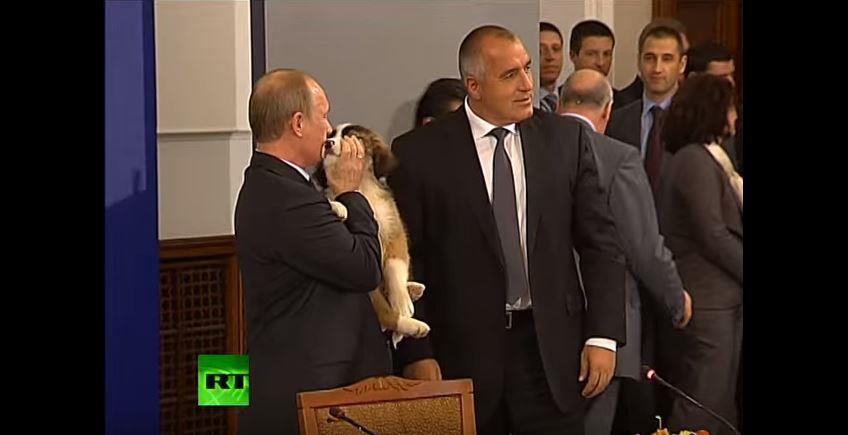 koutavi putin foto