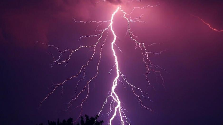 4289586000215588 image