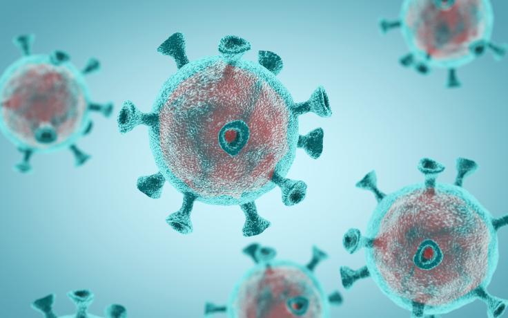 Coronavirus (COVID-19) information